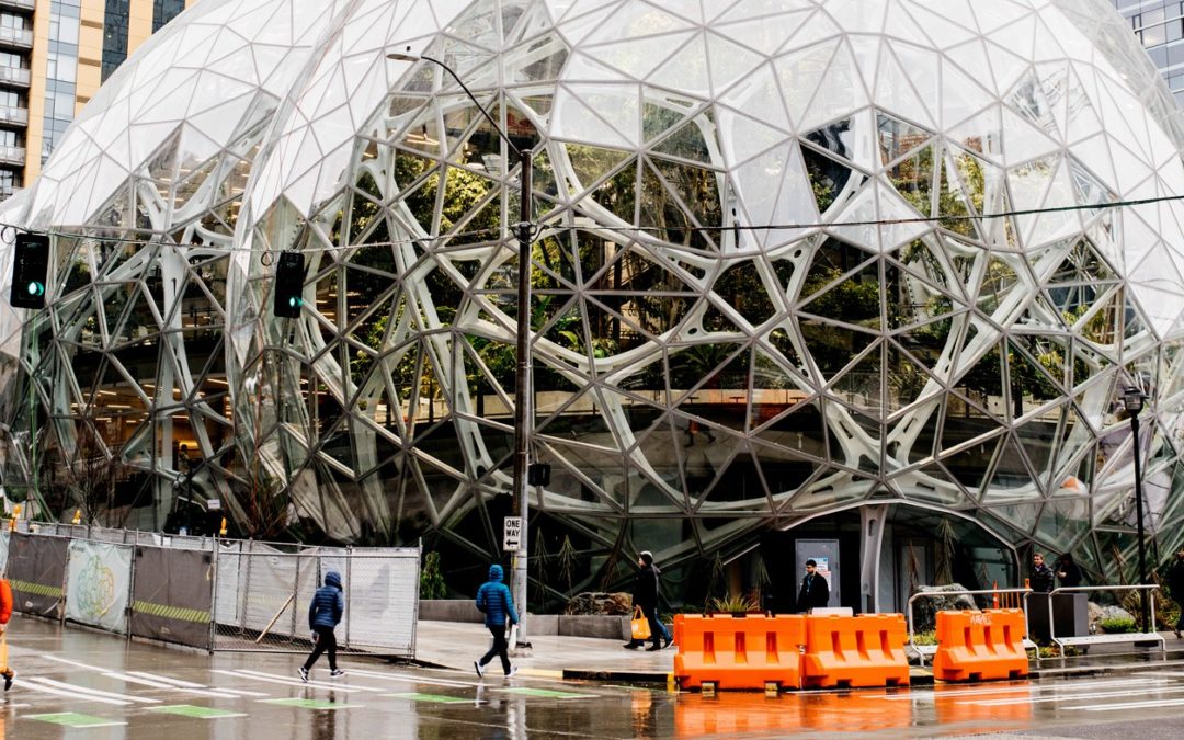 Amazon Employees Try a New Form of Activism, as Shareholders